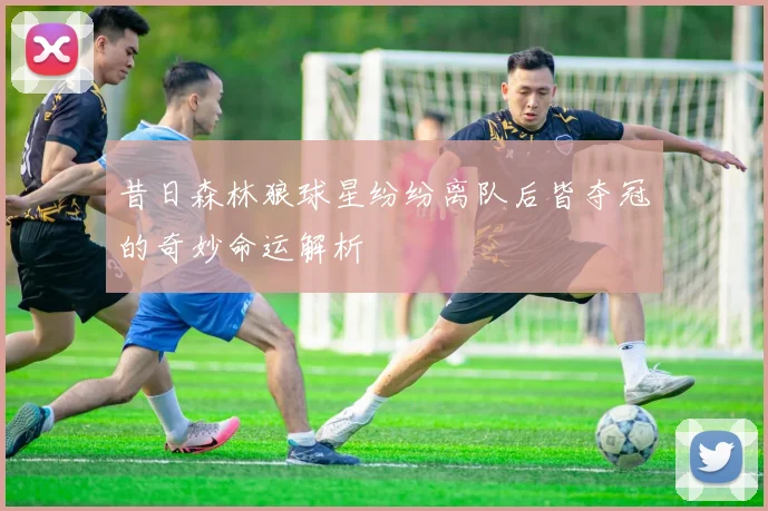 昔日森林狼球星纷纷离队后皆夺冠的奇妙命运解析