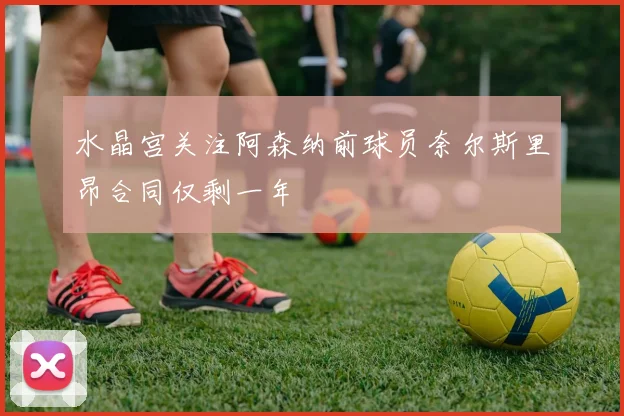 水晶宫关注阿森纳前球员奈尔斯里昂合同仅剩一年